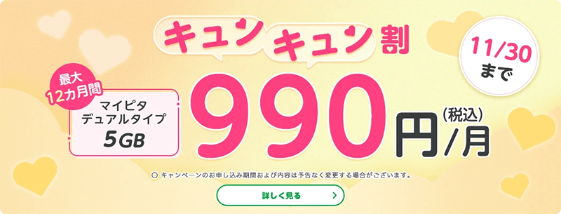 画像：mineo「マイピタ最大12カ月間528円割引キャンペーン」